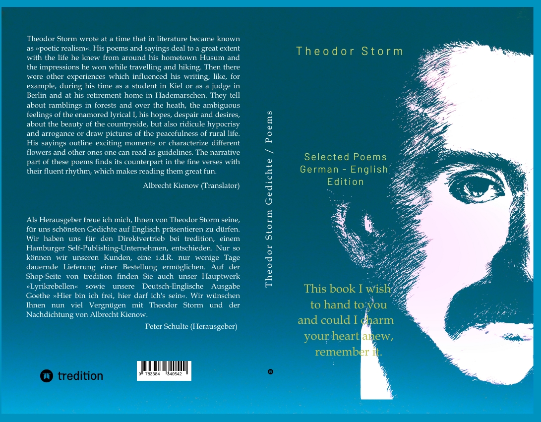 Gesamtes Coverbild Theodor Storm