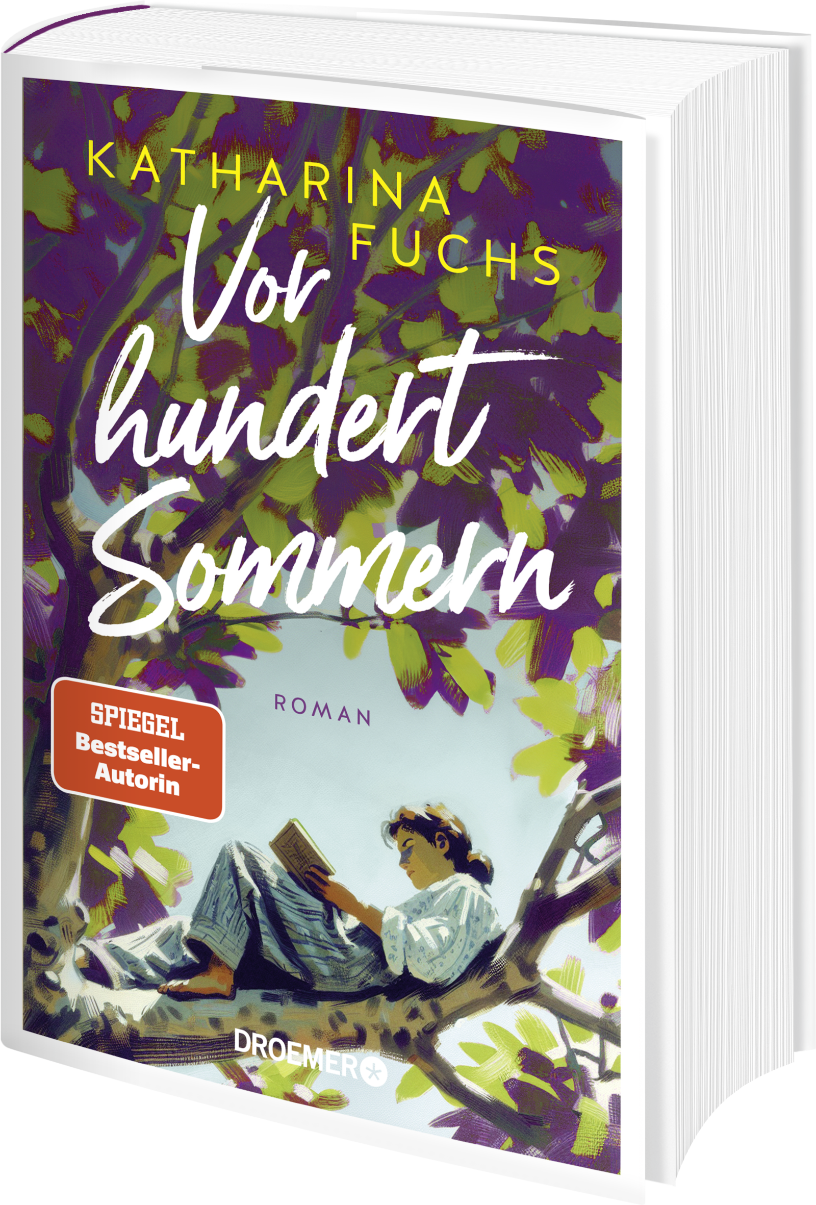 Anderes Coverbild Vor hundert Sommern