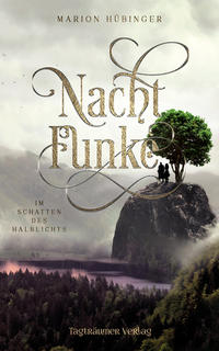 Vorderes Coverbild Nachtfunke 2