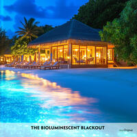Vorderes Coverbild The Bioluminescent Blackout - Englisch-Hörverstehen meistern