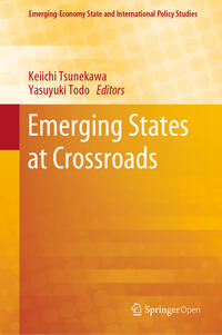 Vorderes Coverbild Emerging States at Crossroads