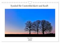 Vorderes Coverbild Symbol für Unsterblichkeit und Kraft (Wandkalender 2025 DIN A4 quer), CALVENDO Monatskalender