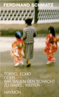 Vorderes Coverbild Tokyo, Echo oder wir bauen den Schacht zu Babel, weiter