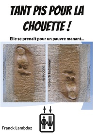 Vorderes Coverbild Tant pis pour la chouette !
