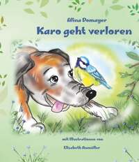 Vorderes Coverbild Karo geht verloren