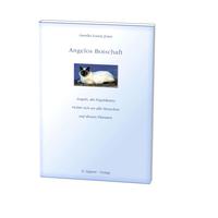 Vorderes Coverbild Angelos Botschaft