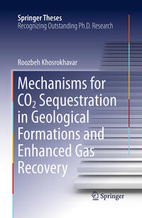 Vorderes Coverbild Mechanisms for CO2 Sequestration in Geological Formations and Enhanced Gas Recovery