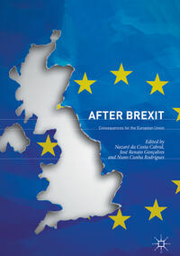 Vorderes Coverbild After Brexit