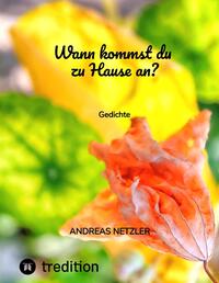 Vorderes Coverbild Wann kommst du zu Hause an?