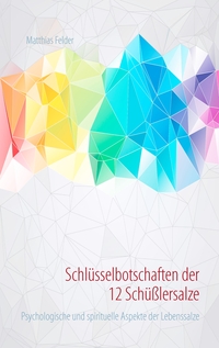 Vorderes Coverbild Schlüsselbotschaften der 12 Schüßlersalze