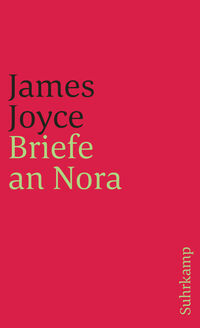 Vorderes Coverbild Briefe an Nora
