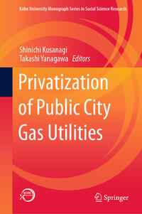 Vorderes Coverbild Privatization of Public City Gas Utilities