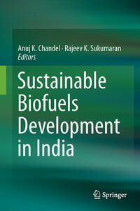 Vorderes Coverbild Sustainable Biofuels Development in India
