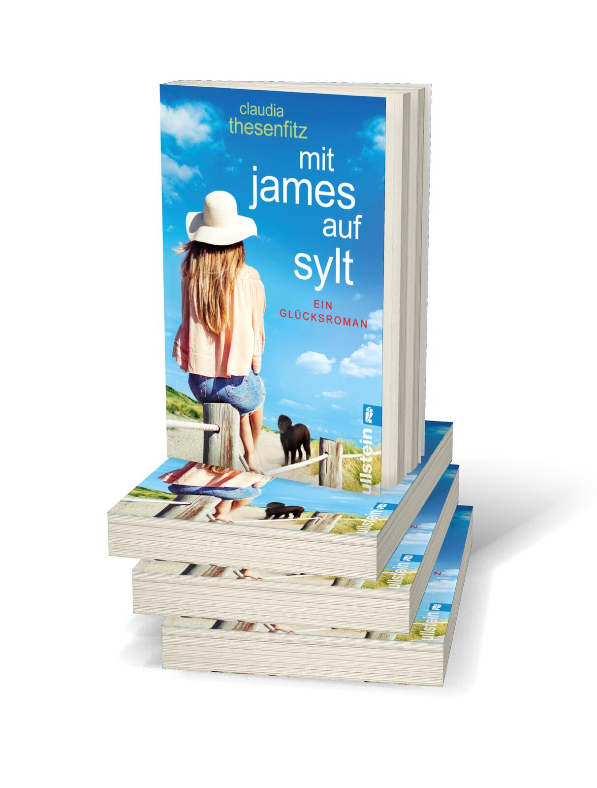 Beispielinhalt (Bild) Mit James auf Sylt