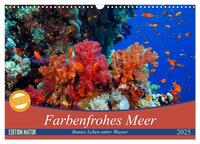 Vorderes Coverbild Farbenfrohes Meer (Wandkalender 2025 DIN A3 quer), CALVENDO Monatskalender
