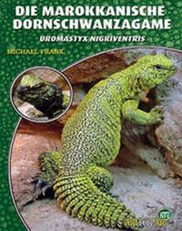 Vorderes Coverbild Die Marokkanische Dornschwanzagame