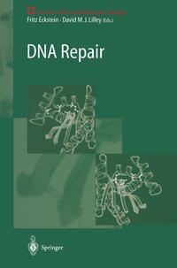 Vorderes Coverbild DNA Repair