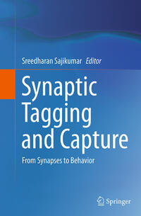 Vorderes Coverbild Synaptic Tagging and Capture