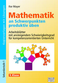 Vorderes Coverbild Mathematik an Schwerpunkten produktiv üben - 9. Klasse