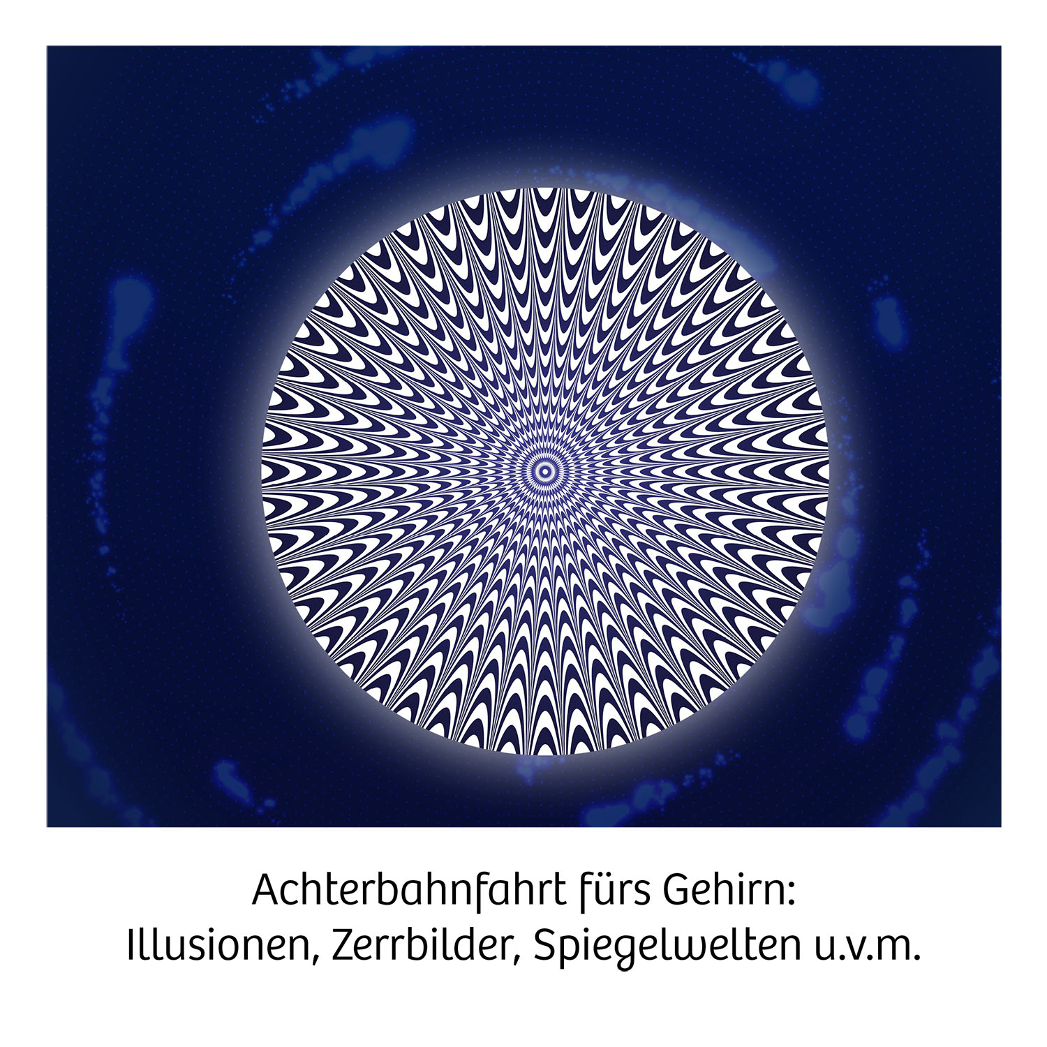 Beispielinhalt (Bild) Fun Science Brain Tricks INT