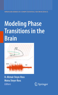 Vorderes Coverbild Modeling Phase Transitions in the Brain