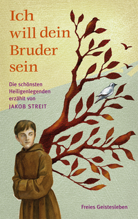 Vorderes Coverbild Ich will dein Bruder sein