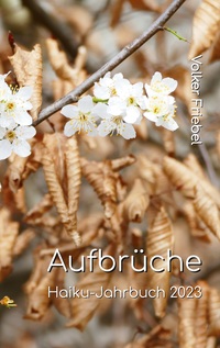 Vorderes Coverbild Aufbrüche