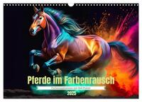 Vorderes Coverbild Pferde im Farbenrausch (Wandkalender 2025 DIN A3 quer), CALVENDO Monatskalender