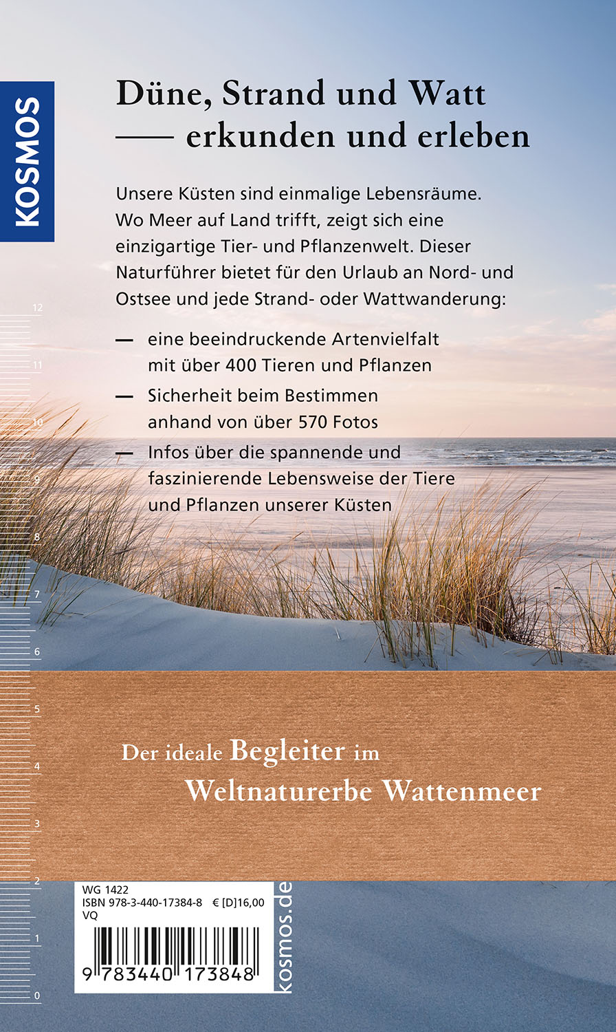 Rückseitencover Düne, Strand und Watt