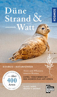 Vorderes Coverbild Düne, Strand und Watt