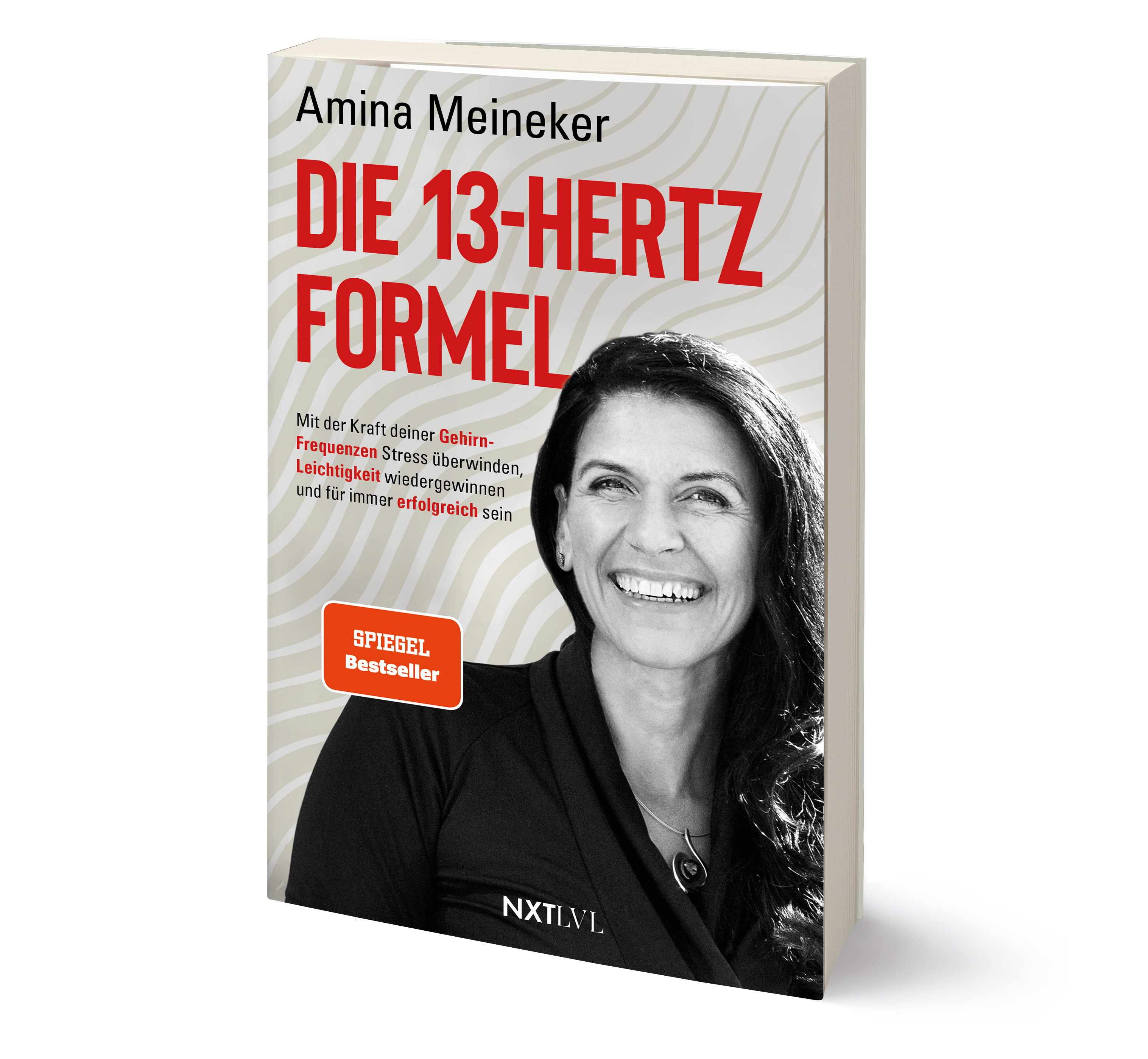 Anderes Coverbild Die 13 Hertz Formel