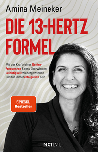 Vorderes Coverbild Die 13 Hertz Formel