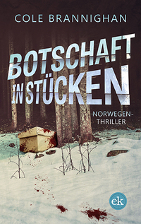 Vorderes Coverbild Botschaft in Stücken
