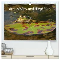 Vorderes Coverbild Amphibien und Reptilien (hochwertiger Premium Wandkalender 2025 DIN A2 quer), Kunstdruck in Hochglanz