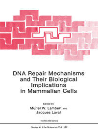 Vorderes Coverbild DNA Repair Mechanisms and Their Biological Implications in Mammalian Cells