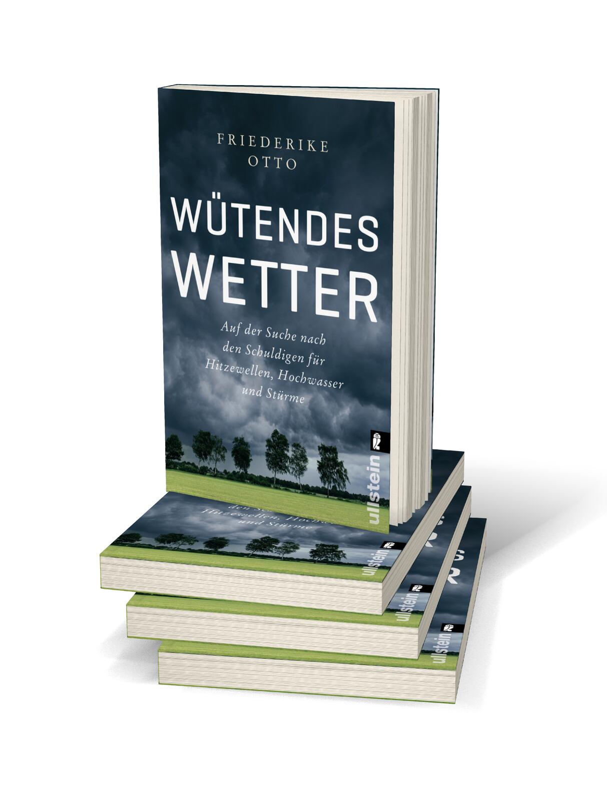 Beispielinhalt (Bild) Wütendes Wetter