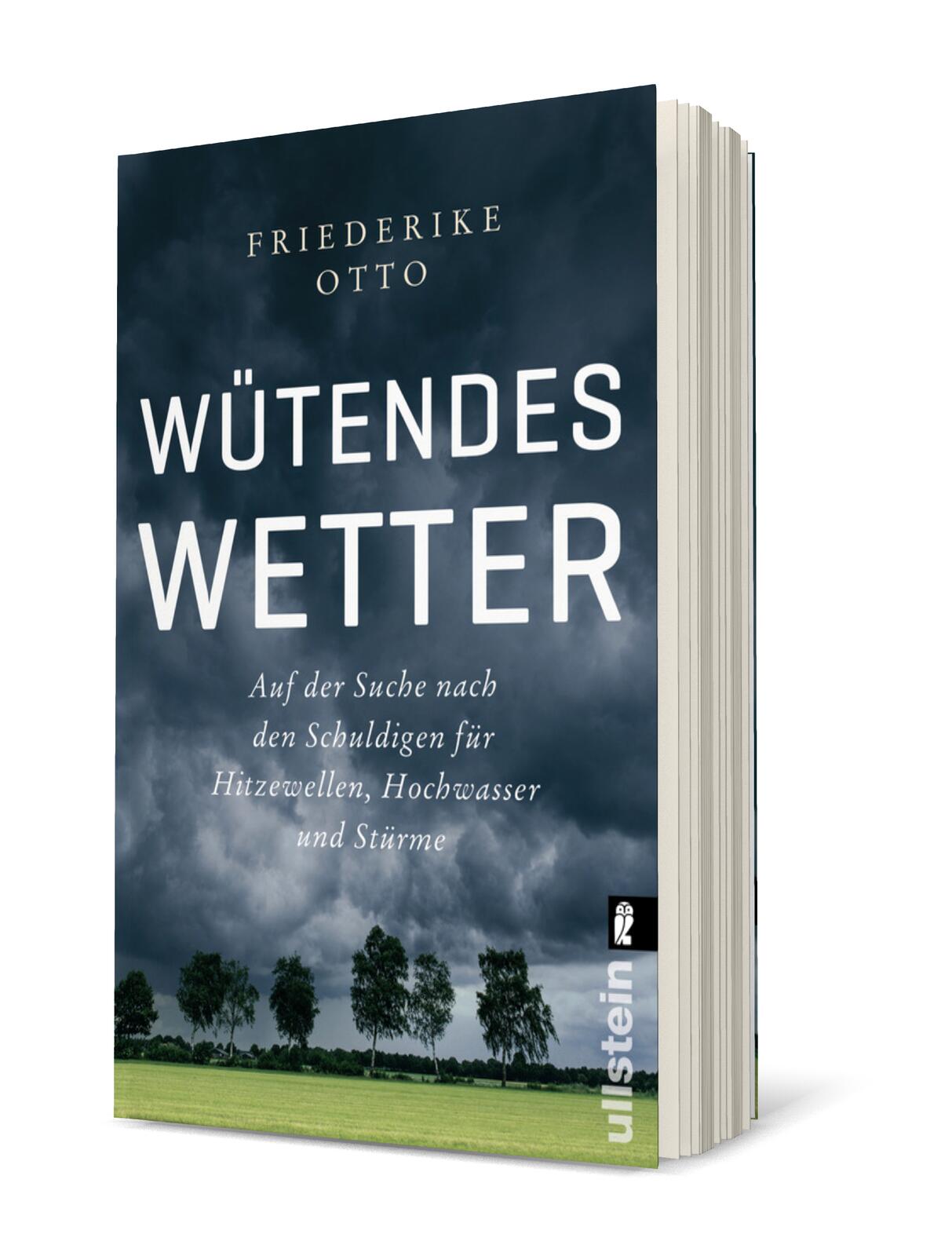 Anderes Coverbild Wütendes Wetter