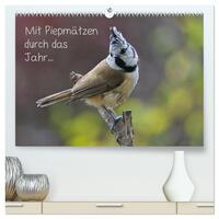 Vorderes Coverbild Mit Piepmätzen durch das Jahr ... (hochwertiger Premium Wandkalender 2025 DIN A2 quer), Kunstdruck in Hochglanz