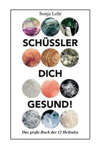 Vorderes Coverbild Schüssler dich gesund