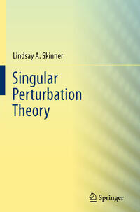 Vorderes Coverbild Singular Perturbation Theory