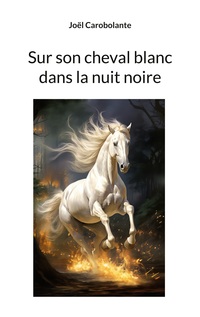 Vorderes Coverbild Sur son cheval blanc dans la nuit noire