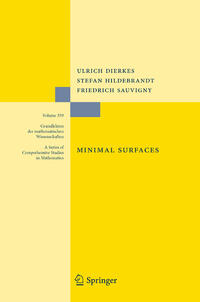 Vorderes Coverbild Minimal Surfaces