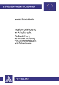 Vorderes Coverbild Insolvenzsicherung im Arbeitsrecht