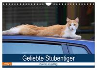 Vorderes Coverbild Geliebte Stubentiger - Katzen im Alltag (Wandkalender 2025 DIN A4 quer), CALVENDO Monatskalender