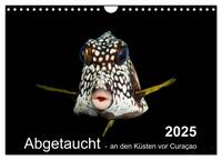 Vorderes Coverbild Abgetaucht - an den Küsten vor Curaçao (Wandkalender 2025 DIN A4 quer), CALVENDO Monatskalender