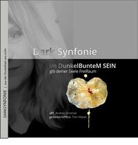 Vorderes Coverbild DarkSynfonie