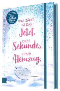 Vorderes Coverbild Ayla Dade: Winter Dreams. Das Journal