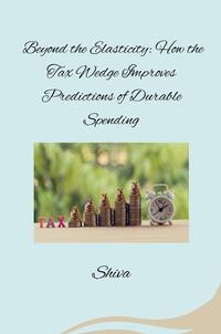 Vorderes Coverbild Beyond the Elasticity: How the Tax Wedge Improves Predictions of Durable Spending