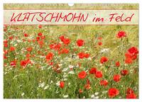 Vorderes Coverbild Klatschmohn im Feld (Wandkalender 2025 DIN A3 quer), CALVENDO Monatskalender