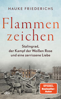 Vorderes Coverbild Flammenzeichen